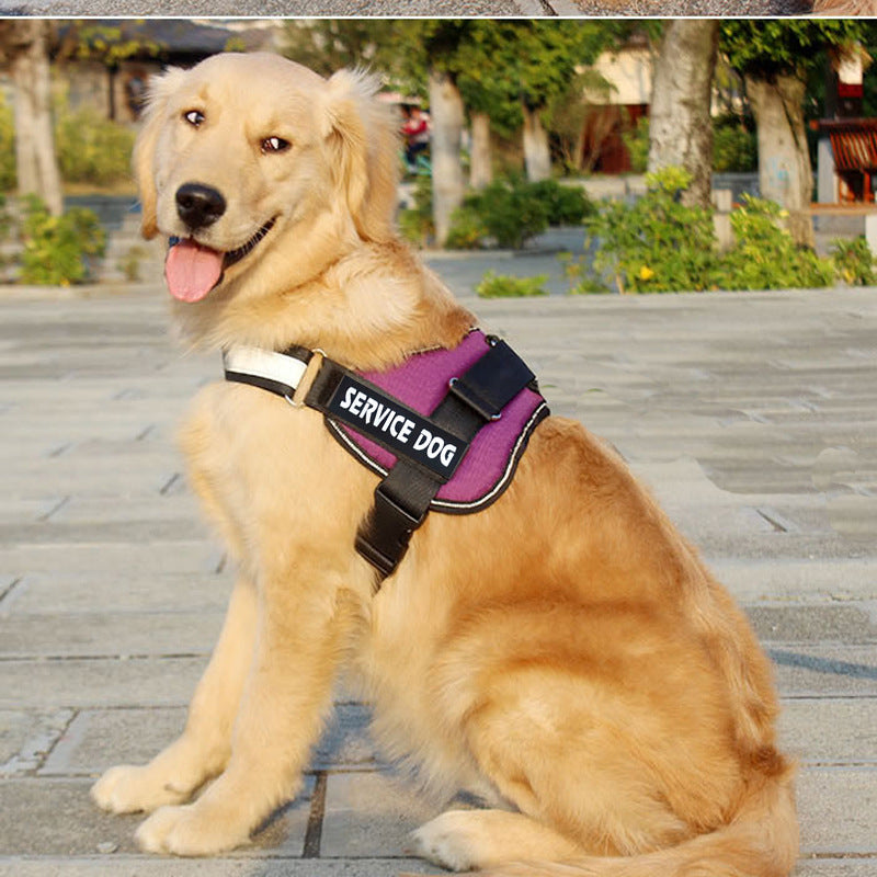 Dog Chest strap harness leash