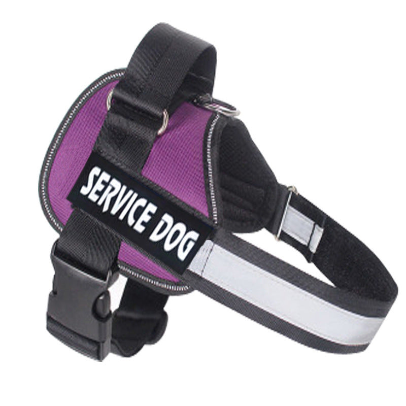 Dog Chest strap harness leash