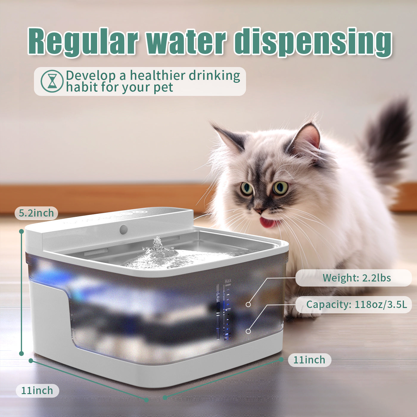 Pet Water Dispenser with fountain