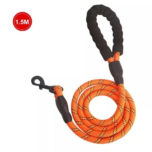 Dog Luminous Leash Chain